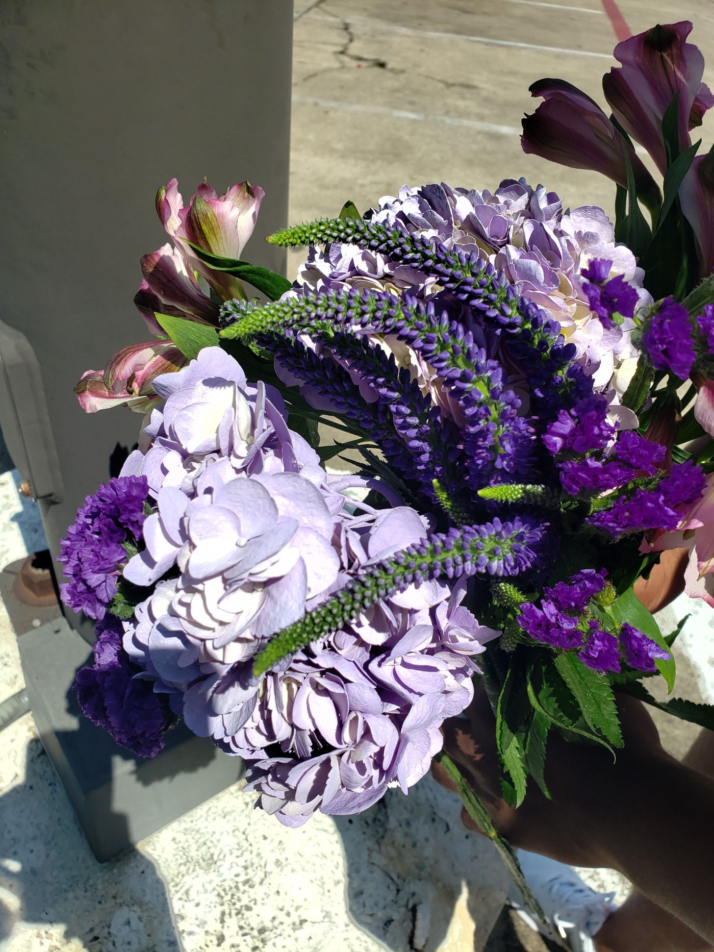 Torey Mitchell | Belligerent Gus Blog