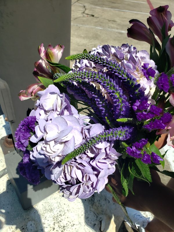 Torey Mitchell | Belligerent Gus Blog