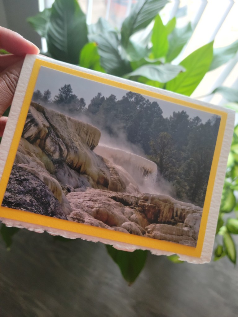 Torey Mitchell | Belligerent Gus Blog