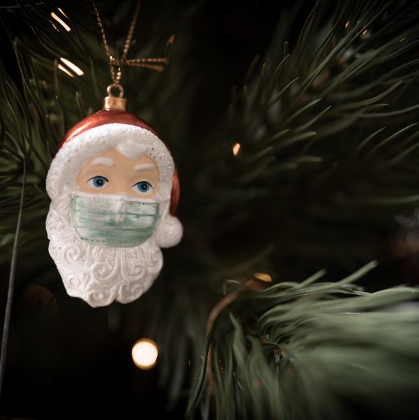 Torey Mitchell | Belligerent Gus Blog