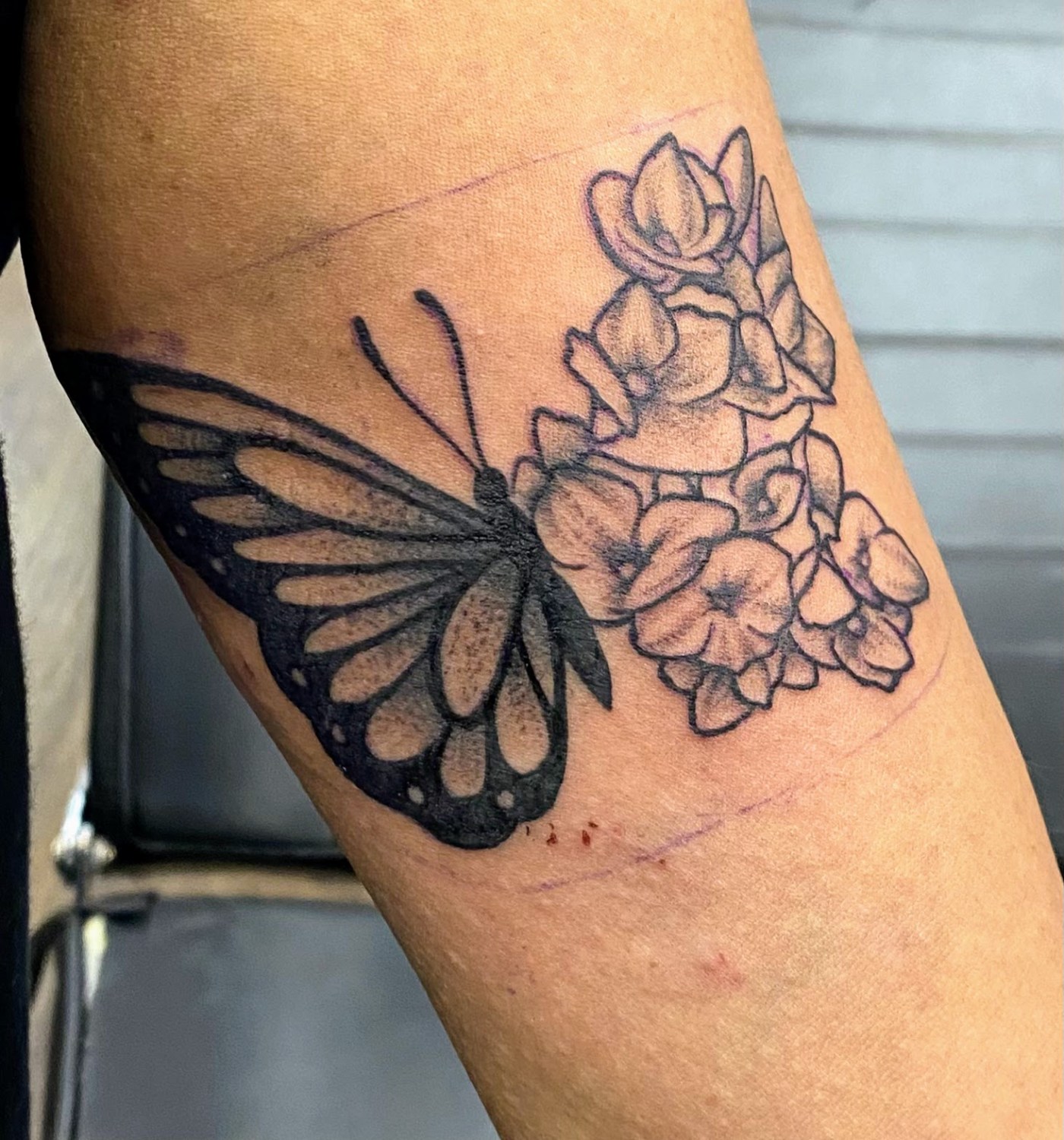 Torey Mitchell | Belligerent Gus Blog